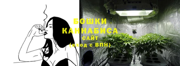 экстази Ельня