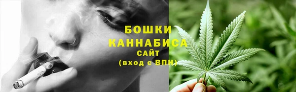 экстази Ельня